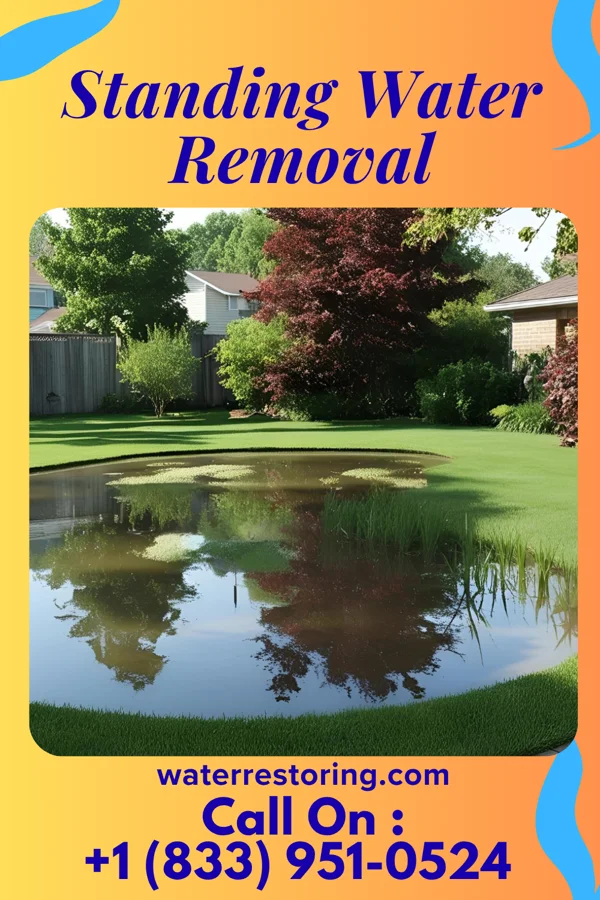 Standing Water Removal in Menominee, IL